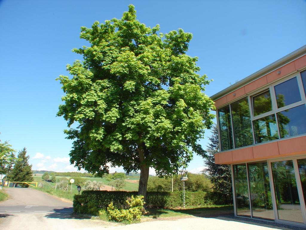 Rotenberg PT Hotel Wittlich Exterior foto